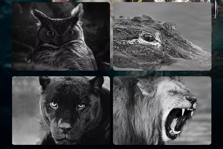 1080P Full HD IR Night Vision  - đánh giá và giá Outdoor Hunting Images
