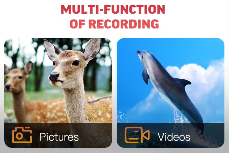 1080P Full HD IR Night Vision  - đánh giá và giá Outdoor Hunting Images